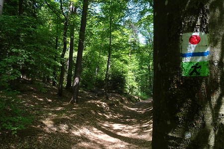 Der Markierung entlang &ndash; (05.05.2018, VGN S.Dassler &copy;&nbsp;VGN GmbH)