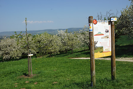 Am Kirschgartenweg &ndash; (22.06.2018, VGN &copy;&nbsp;VGN GmbH)