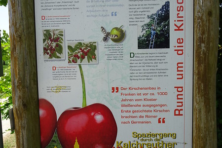 Rund um die Kirsche &ndash; (05.05.2018, VGN S.Dassler &copy;&nbsp;VGN GmbH)