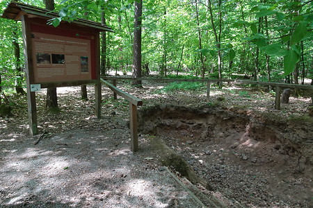 Station des Bodenlehrpfads &ndash; (05.05.2018, VGN S.Dassler &copy;&nbsp;VGN GmbH)