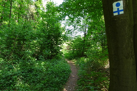 Weg nach Heroldsberg &ndash; (05.05.2018, VGN S.Dassler &copy;&nbsp;VGN GmbH)