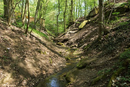 In der Schlucht &ndash; (22.06.2018, VGN &copy;&nbsp;VGN GmbH)
