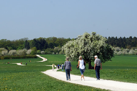 Kirschgartenweg &ndash; (22.06.2018, VGN &copy;&nbsp;VGN GmbH)