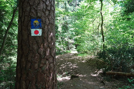 Wegezeichen im Wald &ndash; (05.05.2018, VGN S.Dassler &copy;&nbsp;VGN GmbH)