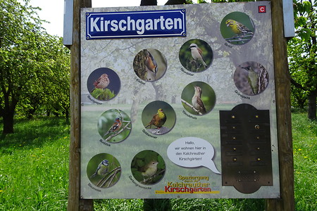Kirschgarten Schild &ndash; (05.05.2018, VGN S.Dassler &copy;&nbsp;VGN GmbH)