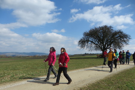 Panoramaweg (2) &ndash; (22.06.2018, VGN &copy;&nbsp;VGN GmbH)