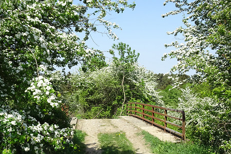Alte Bahnbrücke &ndash; (22.06.2018, VGN S.Dassler &copy;&nbsp;VGN GmbH)