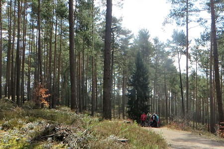 Säuerlesgraben &ndash; (22.06.2018, VGN &copy;&nbsp;VGN GmbH)