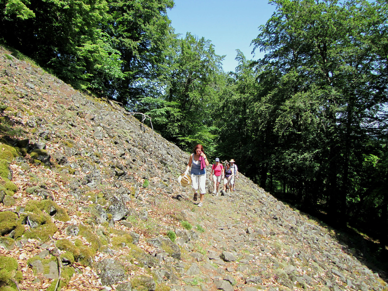 Blockhalde am Rauhen Kulm &ndash;  (09.06.2014, VGN &copy;&nbsp;VGN GmbH)