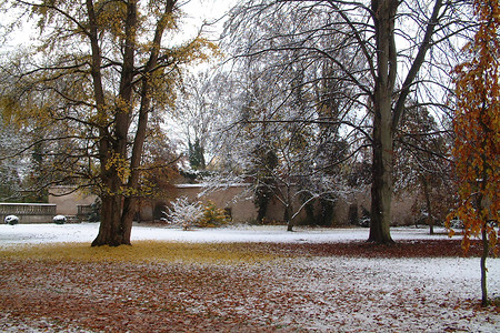 Winter im Schlossgarten &ndash; (10.11.2004, VGN &copy;&nbsp;VGN GmbH)