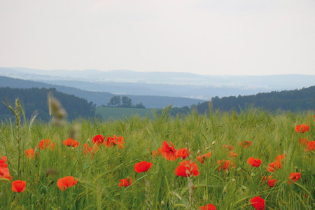 südlicher Blick von der Bocksleite &ndash; (VGN &copy;&nbsp;VGN GmbH)