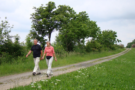 Entlang der Bocksleite &ndash; (26.05.2016, VGN &copy;&nbsp;VGN GmbH)