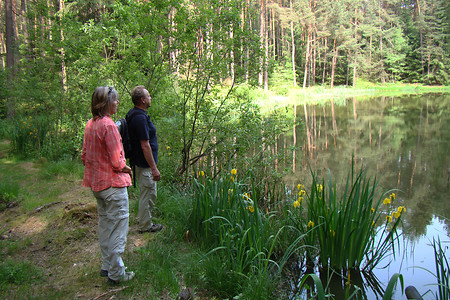 Naturbelassener Weiher &ndash; (26.05.2016, VGN &copy;&nbsp;VGN GmbH)