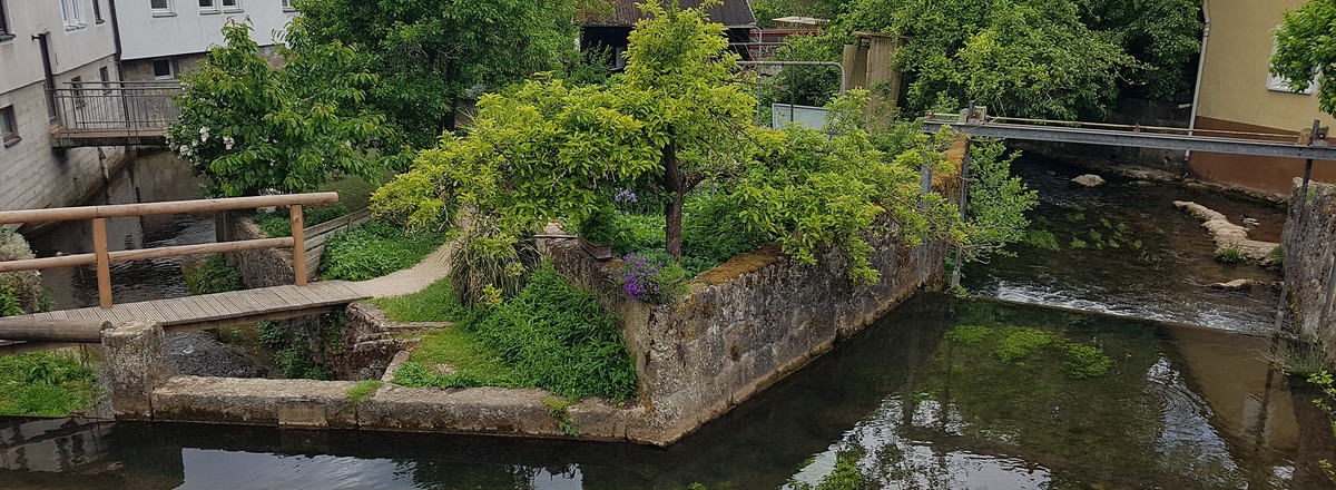 Mühleninsel Pottenstein &ndash;  (26.05.2020, S. Dassler &copy;&nbsp;VGN GmbH)