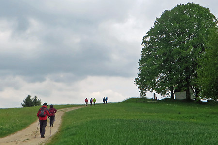 Zur Penzenreuther Kapelle &ndash; (26.05.2016, VGN &copy;&nbsp;VGN GmbH)