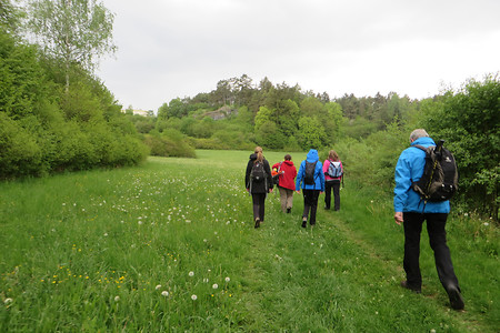 Vor Pegnitz &ndash; (26.05.2016, VGN &copy;&nbsp;VGN GmbH)