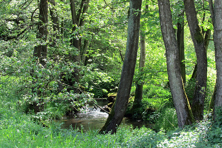 Flembachtal 2 &ndash; (26.05.2016, VGN &copy;&nbsp;VGN GmbH)