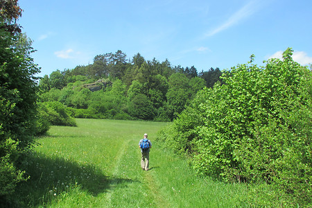 Auf dem Weg nach Pegnitz &ndash; (26.05.2016, VGN &copy;&nbsp;VGN GmbH)