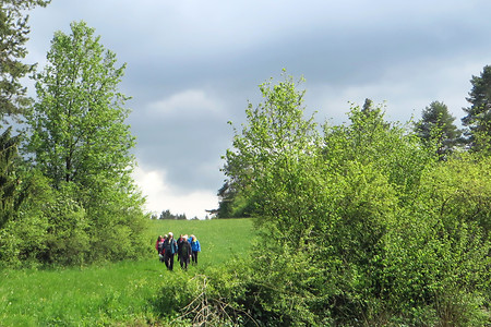 Im Gelände &ndash; (26.05.2016, VGN &copy;&nbsp;VGN GmbH)