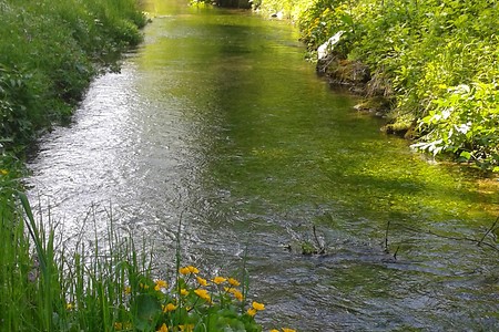 Flembach &ndash; (26.05.2016, VGN &copy;&nbsp;VGN GmbH)