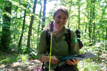 Im Wald &ndash; (27.09.2020, U. Büscher &copy;&nbsp;VGN GmbH)