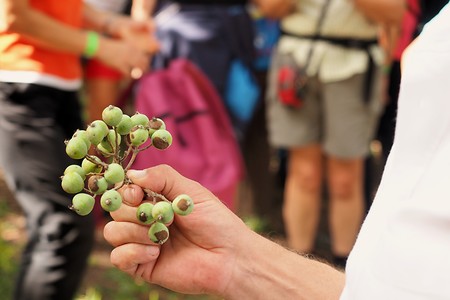 Fundsache &ndash; (11.08.2020, U. Büscher &copy;&nbsp;VGN GmbH)
