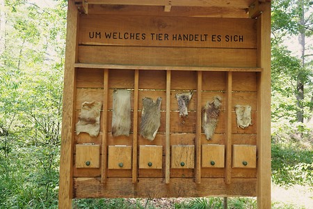 Tierratestation &ndash; (11.08.2020, U. Büscher &copy;&nbsp;VGN GmbH)