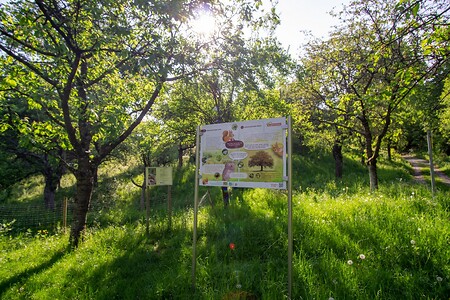 Hinweisschild &ndash; (27.09.2020, U. Büscher &copy;&nbsp;VGN GmbH)