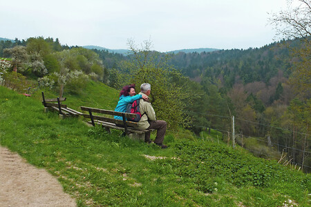 Blick ins Schottental &ndash; (01.05.2013, VGN &copy;&nbsp;VGN GmbH)