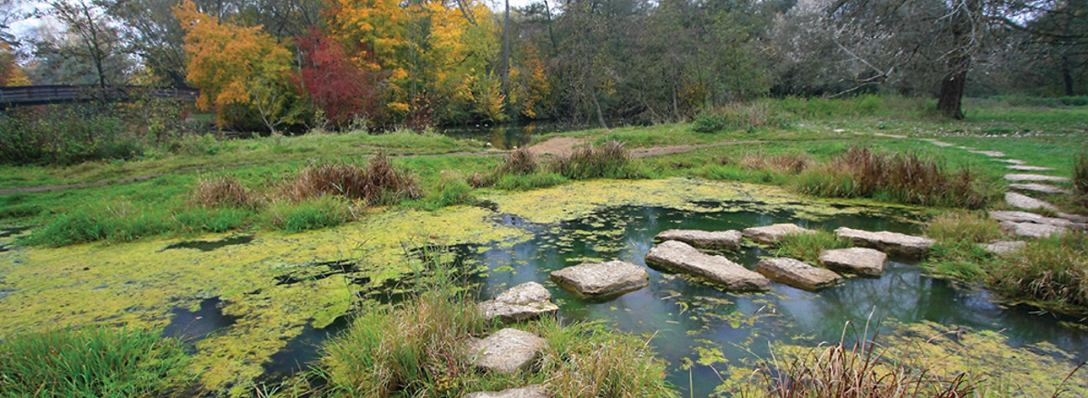 Wassertrittsteine am Erlebnispfad &ndash;  (02.08.2017, Hr. Mlnarik - Stadt Nürnberg &copy;&nbsp;Hr. Mlnarik - Stadt Nürnberg)