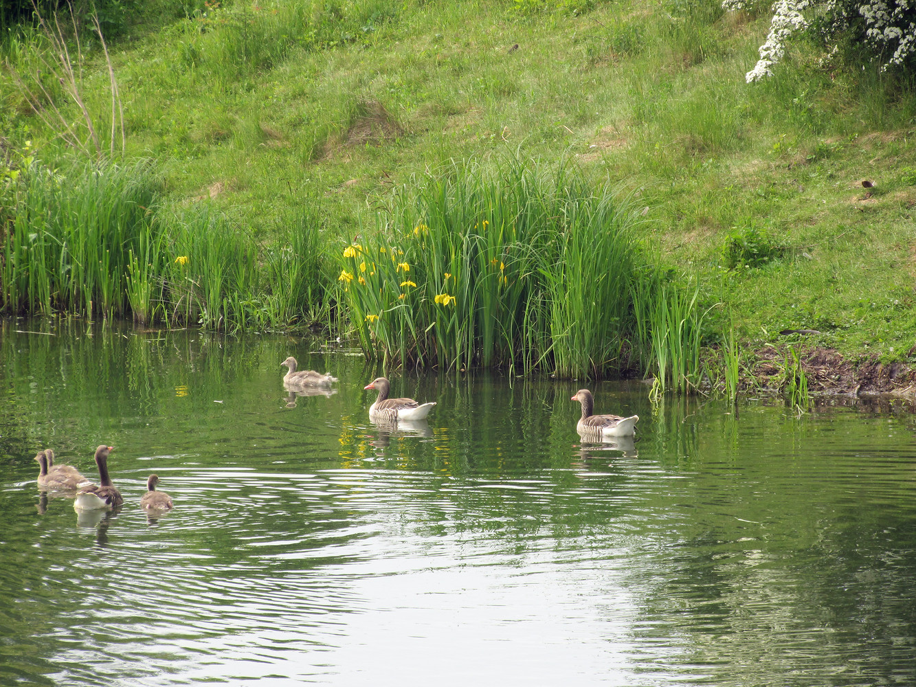 Familienausflug &ndash;  (29.09.2015, VGN &copy;&nbsp;VGN GmbH)