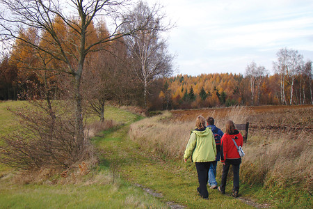 Laubfärbung im Herbst &ndash; (VGN &copy;&nbsp;VGN GmbH)