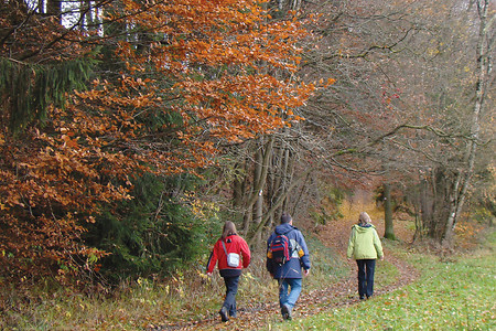 Auf den Neubürgweg &ndash; (VGN &copy;&nbsp;VGN GmbH)