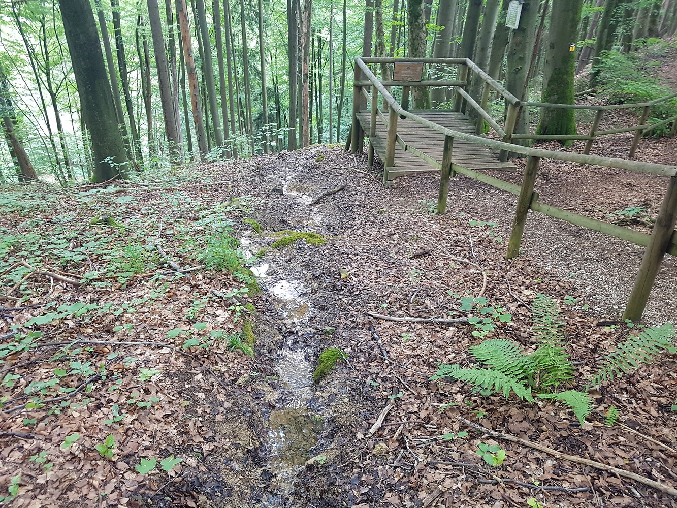 Steinerne Rinne &ndash;  (04.08.2019, S. Dassler &copy;&nbsp;VGN GmbH)