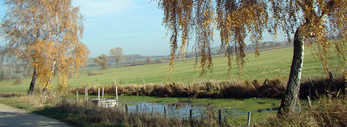 Wassergraben vor Ergersheim &ndash;  (VGN &copy;&nbsp;VGN GmbH)