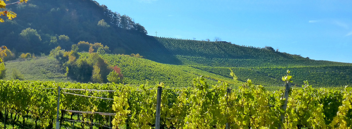 Blick hoch zum Frankenblick &ndash;  (19.10.2013, Dorfschätze &copy;&nbsp;Dorfschätze)