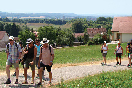 „Aufstieg“ nach Unterstürmig – Eggolsheim im Hintergrund &ndash; (VGN &copy;&nbsp;VGN GmbH)
