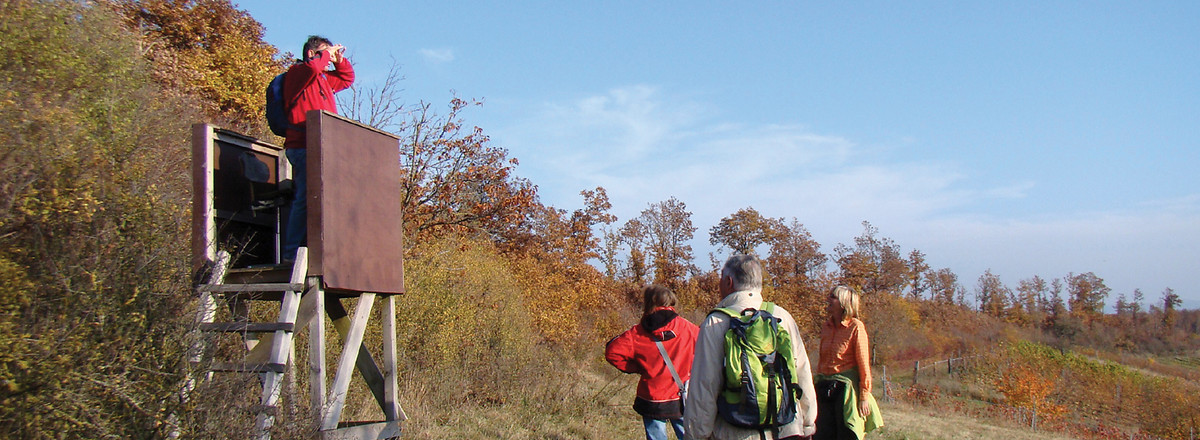 Kleiner Aussichtspavillon &ndash;  (07.11.2011, VGN &copy;&nbsp;VGN GmbH)
