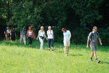 Waldwiese am Ossinger &ndash; (VGN &copy;&nbsp;VGN GmbH)