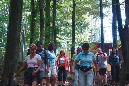 Wanderweg &ndash; (VGN &copy;&nbsp;VGN GmbH)