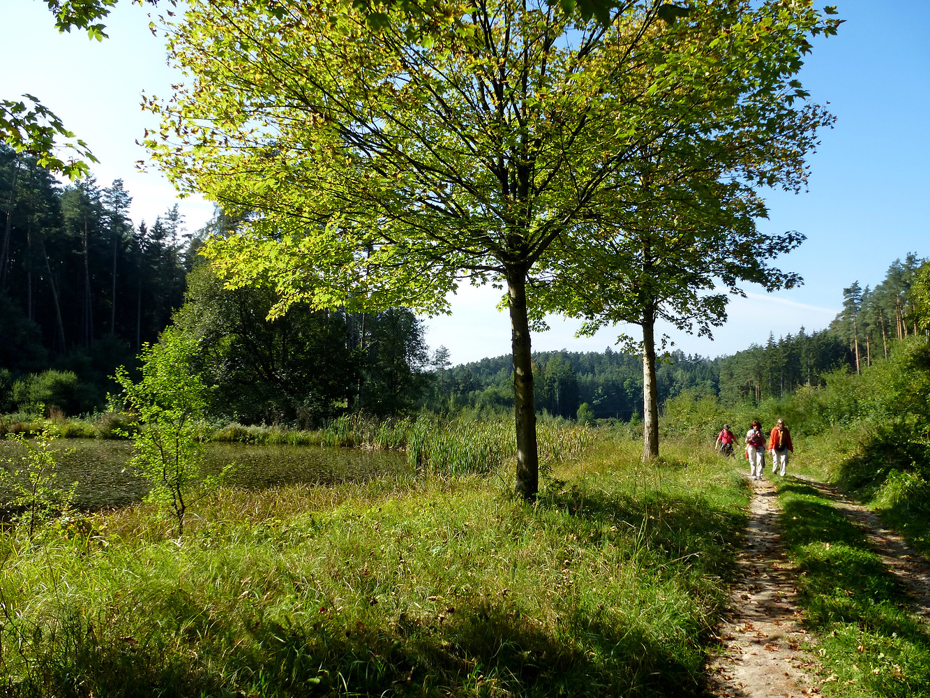 Auf dem Weg nach Rauschenberg &ndash;  (VGN &copy;&nbsp;VGN GmbH)