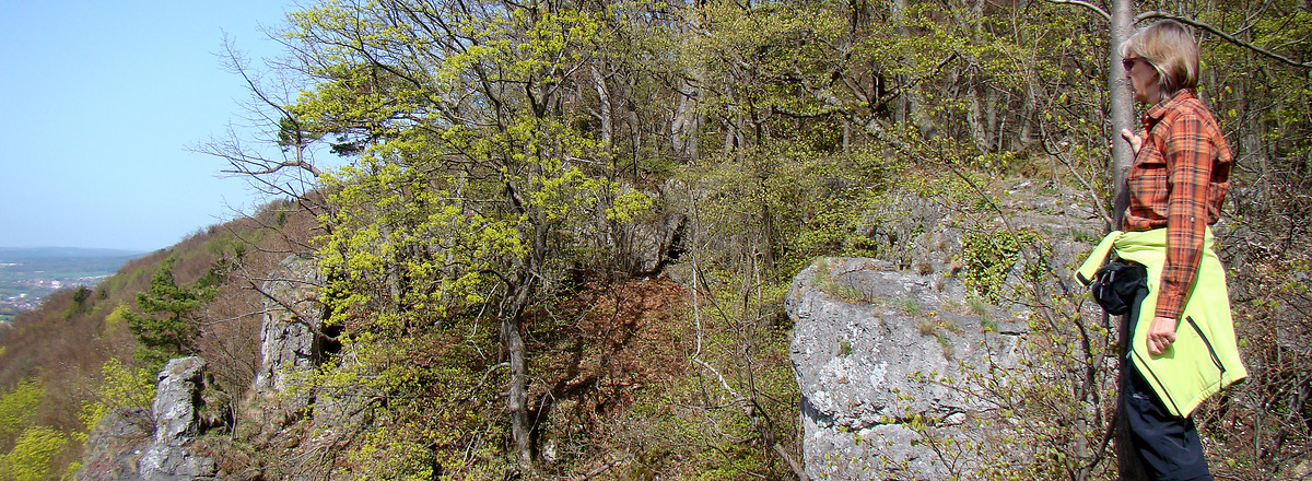 Auf der Houbirg &ndash;  (11.04.2011, VGN &copy;&nbsp;VGN GmbH)