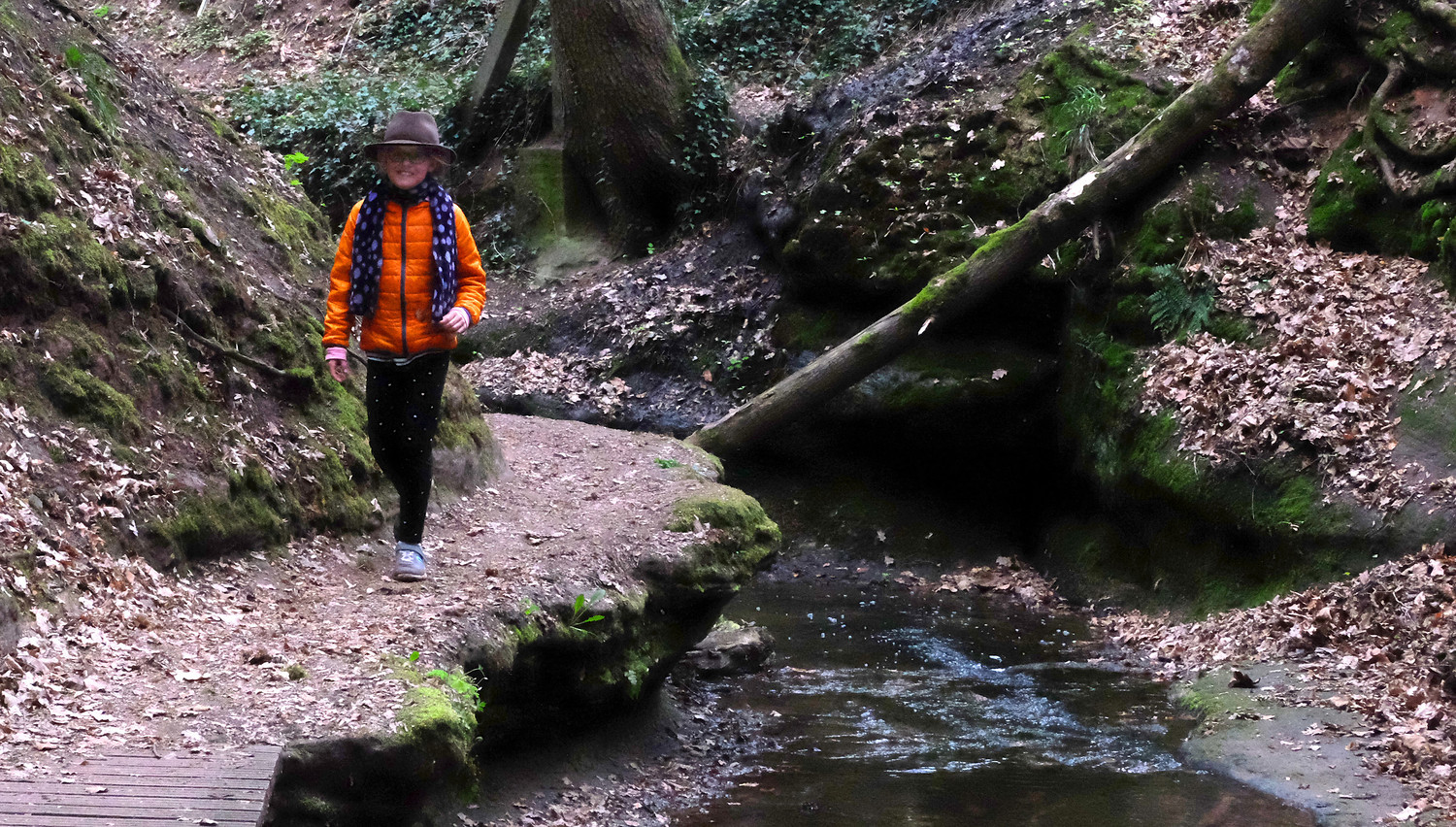 KW14_08 &ndash;  (05.02.2018, VGN &copy;&nbsp;VGN GmbH)