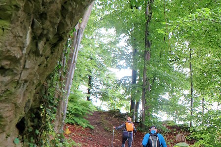 Hinauf nach Moritz &ndash; (09.02.2018, VGN &copy;&nbsp;VGN GmbH)