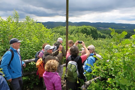 Am Pfaffenstein &ndash; (09.02.2018, VGN &copy;&nbsp;VGN GmbH)