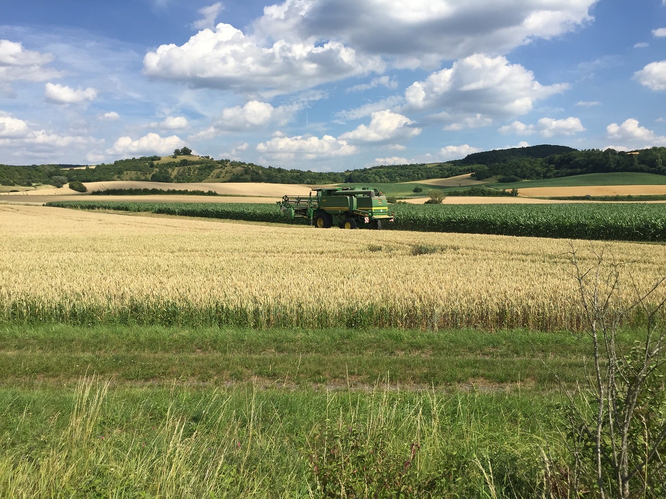 Landschaft &ndash;  (02.02.2018, UNTHEIM Presse PR Publikationen &copy;&nbsp;UNTHEIM Presse PR Publikationen)