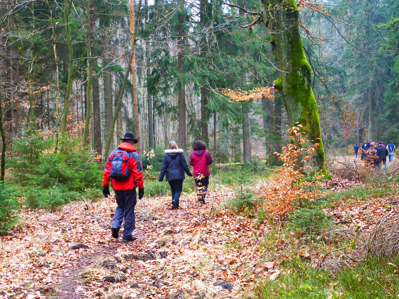 Herbstwanderung am Langwassergraben &ndash;  (29.03.2013, VGN &copy;&nbsp;VGN GmbH)