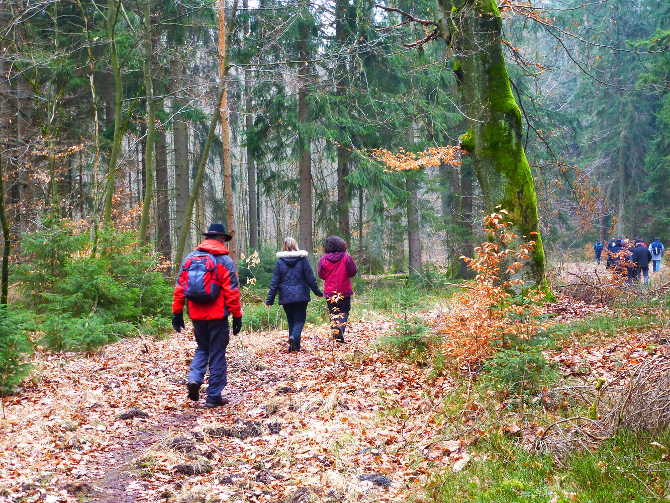 Herbstwanderung am Langwassergraben &ndash;  (29.03.2013, VGN &copy;&nbsp;VGN GmbH)