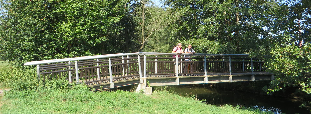 Brücke vor Buckenhof &ndash;  (01.10.2015, VGN &copy;&nbsp;VGN GmbH)