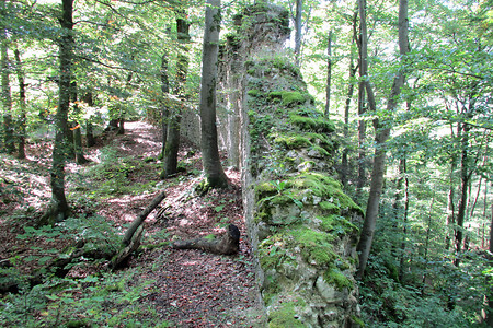 Ruine Adelburg &ndash; (VGN &copy;&nbsp;VGN GmbH)
